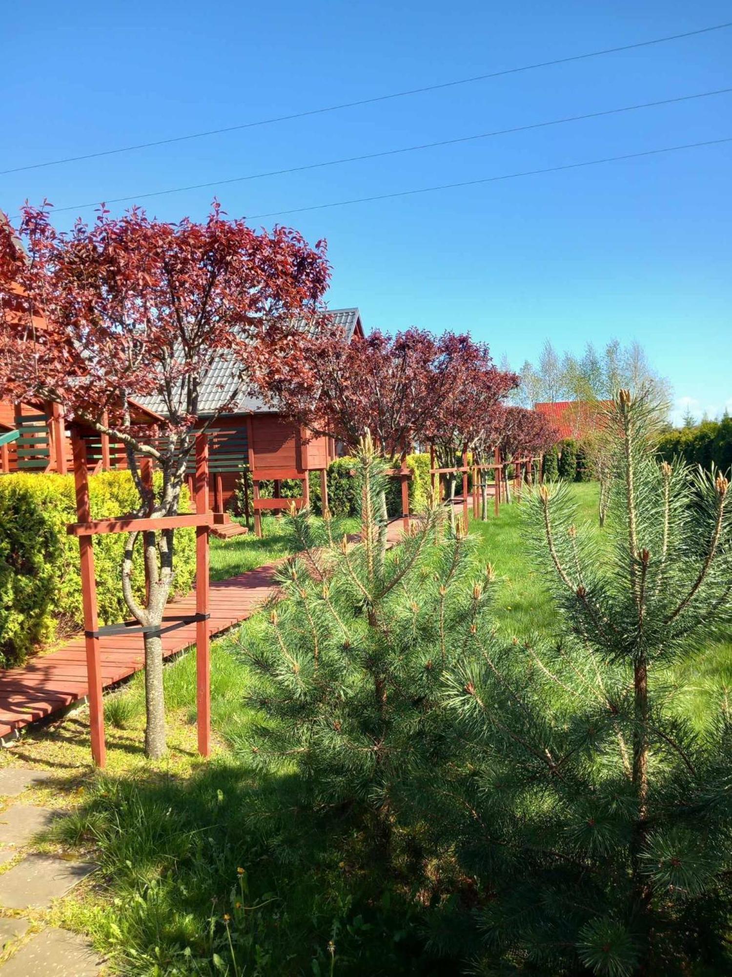 Mandarynka Ow Villa Jaroslawiec Luaran gambar